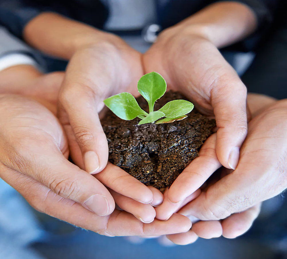 Environmentally Responsible Practices